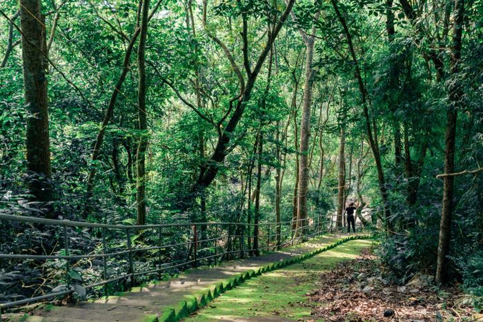 Mùa thu đã trở lại Vũng Tàu, mang theo sự yên bình trên mỗi con đường nhỏ