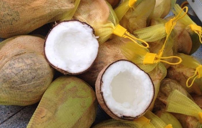 Đặc sản dừa sáp ở Trà Vinh và cách chế biến theo phong cách miền Tây