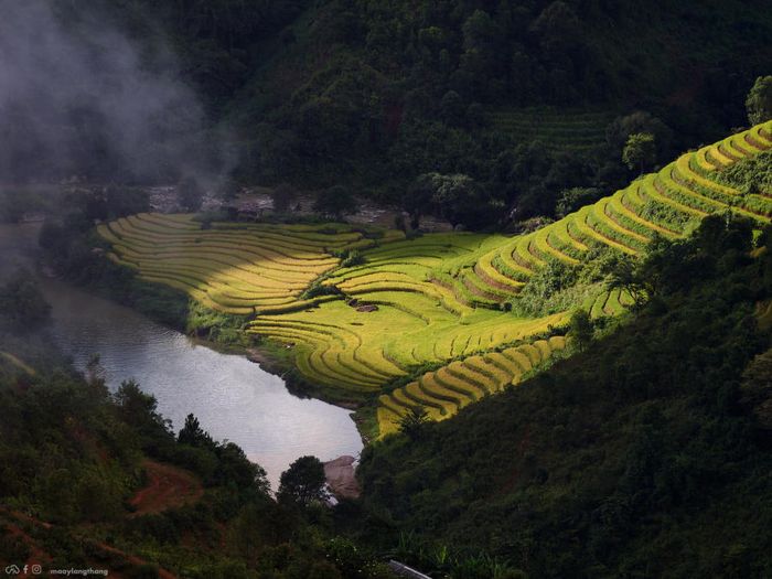 Khám phá bức tranh mùa vàng đẹp tuyệt vời ở Xím Vàng, chỉ cách Tà Xùa 18km.