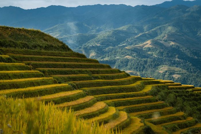 Tiết lộ đánh giá Tú Lệ - Yên Bái không thể bỏ lỡ 5