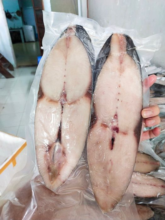 Cá ngừ một nắng Vũng Tàu - Món đặc sản biển với những ứng dụng hữu ích không ngờ 4