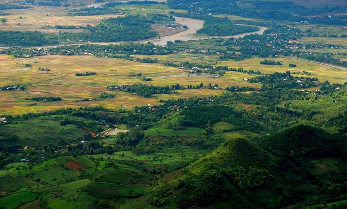 Cánh đồng Mường Lò - Vẻ đẹp đặc trưng của vùng đất Nghĩa Lộ