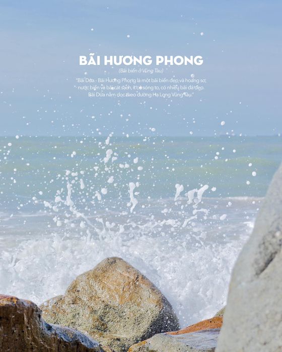 Nhìn ngang, nhìn dọc nhớ nhớn mấy điều dễ thương tại Bãi Dứa Vũng Tàu 4