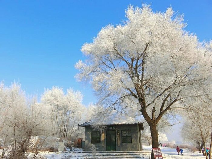 Cát Lâm Trung Quốc, điểm đến lý tưởng vào mùa đông 8
