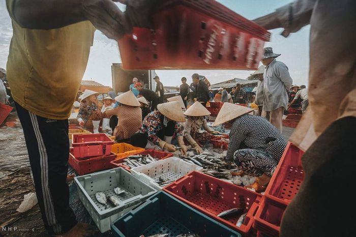Cuộc sống sáng sớm tại cảng cá Bà Rịa - Vũng Tàu qua ống kính của nhiếp ảnh gia Nguyễn Hoàng Phi 5