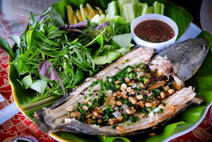 Khám phá Khu sinh thái dã ngoại Suối Giàu - điểm nóng ở Châu Đức