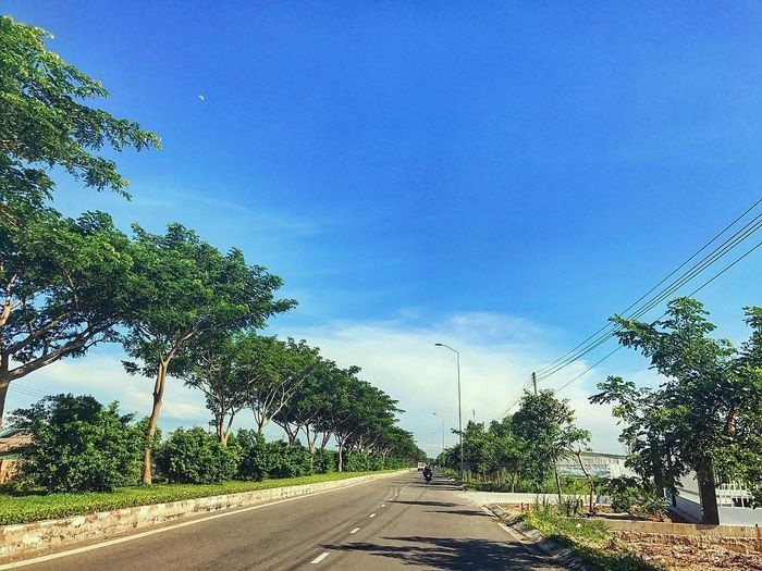 Khám phá 4 tuyến đường phượt đẹp từ Sài Gòn đến Vũng Tàu