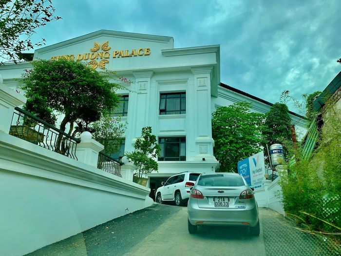 Khám phá không gian đẳng cấp tại Nhà hàng Tùng Dương - Trải nghiệm độc đáo
