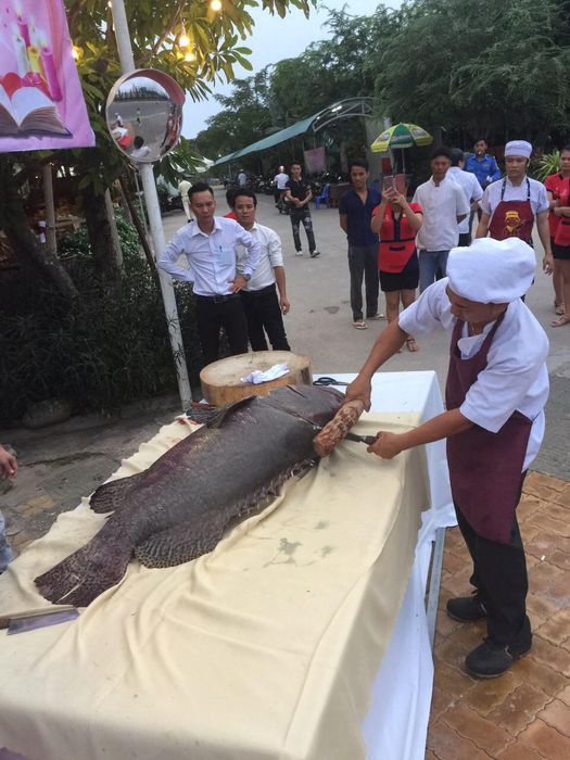 Thưởng thức bữa trưa giữa không gian gần gũi thiên nhiên tại nhà hàng hải sản Vạn Chài 6