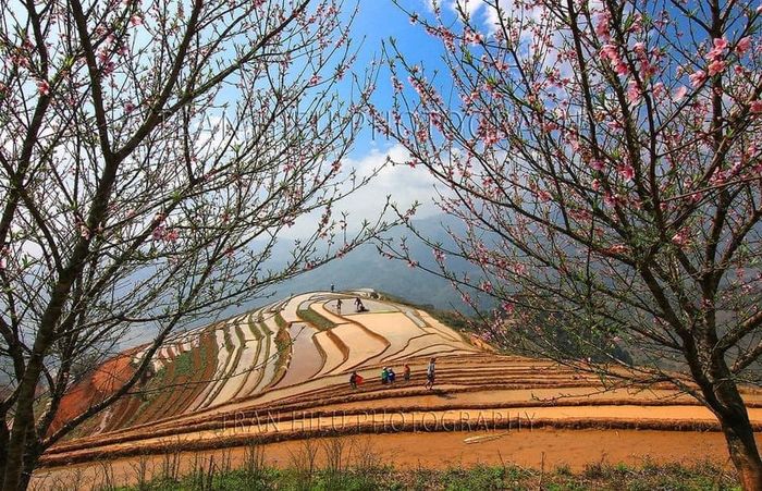 Để biết đánh giá về Trạm Tấu, hãy đến với đội ngũ của Mytour.vn! 4