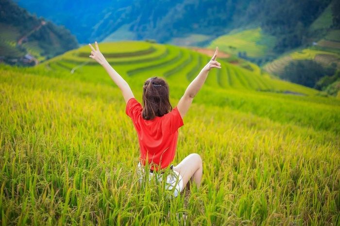 Khám phá bí quyết chụp ảnh ruộng Mâm Xôi Mù Cang Chải thu hút hàng ngàn trái tim