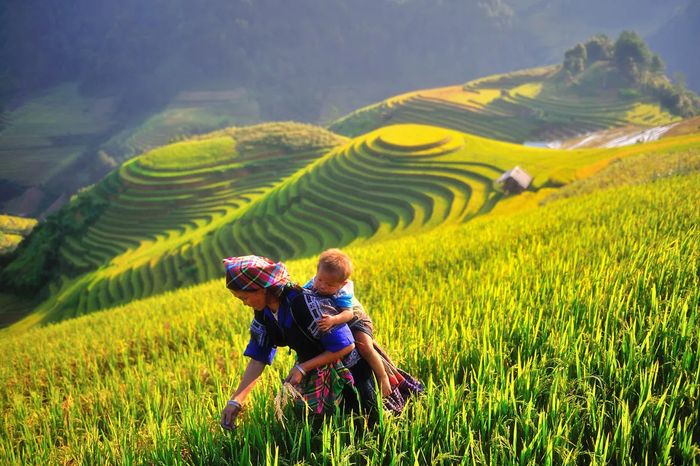 Lập kế hoạch du lịch Yên Bái 3 ngày 2 đêm thú vị 2