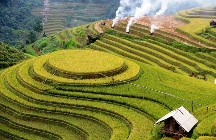 Khám phá bí quyết chụp ảnh ruộng Mâm Xôi Mù Cang Chải cuốn hút mọi ánh nhìn 4