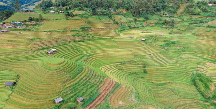 Khám phá bí quyết chụp ảnh ruộng Mâm Xôi Mù Cang Chải thu hút hàng ngàn trái tim 3