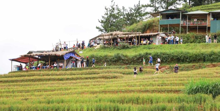 Khám phá bí quyết chụp ảnh ruộng Mâm Xôi Mù Cang Chải thu hút hàng ngàn trái tim 9