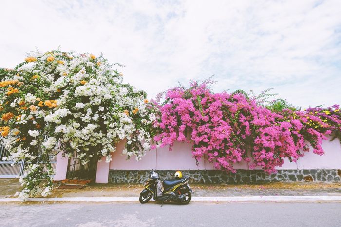 Đánh giá chuyến du lịch Vũng Tàu 2 ngày 1 đêm chỉ với giá 700k, có những điều gì đặc biệt? 7