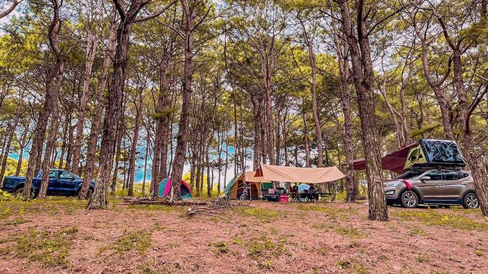 Camping tại đồi thông Diên Phú, một hoạt động mà bạn nên thử ít nhất một lần khi đến Gia Lai