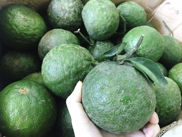Chia sẻ cho bạn những món đặc sản Cần Thơ mua về làm quà 14