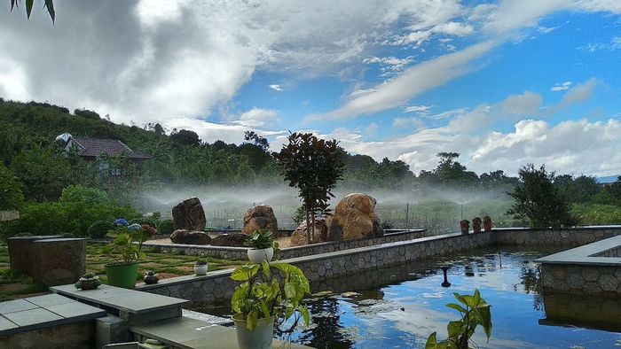 Thiền Đường Giác Sơn, say đắm trong vẻ đẹp bình yên giữa lòng Gia Lai 2