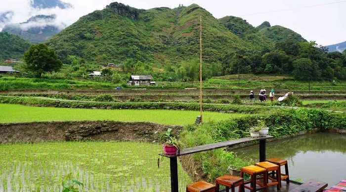 Kế hoạch du lịch Hà Giang tự túc 4 ngày 3 đêm giá rẻ nhưng vẫn đầy sức hút