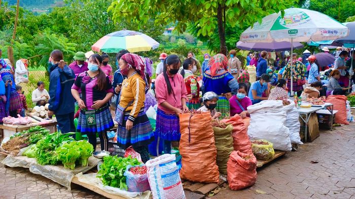 Tổng hợp lịch trình chi tiết cho chuyến đi tự túc 3 ngày 4 đêm tại Hà Giang.