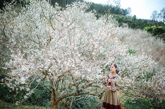 Du xuân tại Thủ đô Hà Nội