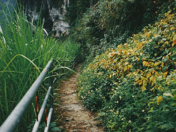 Chinh phục Vách Đá Thần - Vượt lên 'Đỉnh cao của Đệ nhất hùng quan phía Bắc'