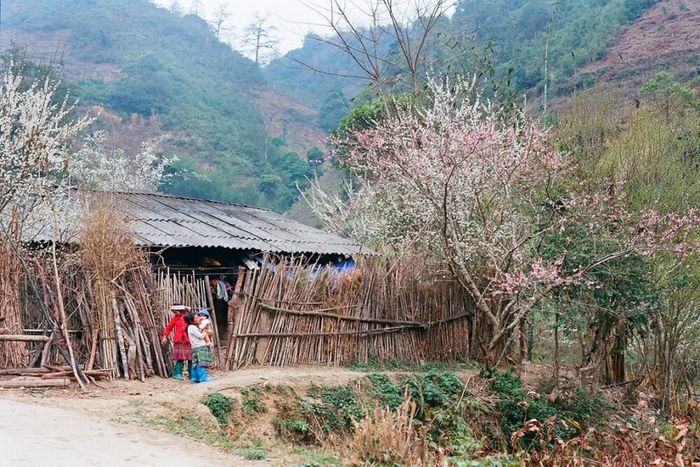Khám phá Phố Cáo Hà Giang – Ngắm nhìn vẻ đẹp hoang sơ của xứ Đồng Văn 3