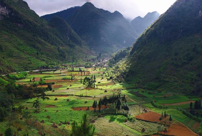 Không thể rời mắt khỏi lịch trình khám phá mùa hoa tam giác mạch tuyệt vời này