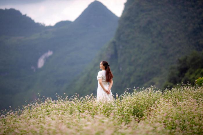 Mùa vàng tại Khuổi My giống như một bức tranh sống động trên cao nguyên đá của Hà Giang