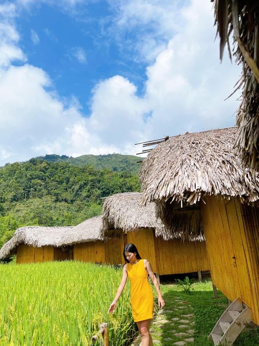 Mùa lúa vàng ở Hoàng Su Phì là khoảnh khắc khiến bất kỳ ai cũng muốn sống trong thế giới ảo