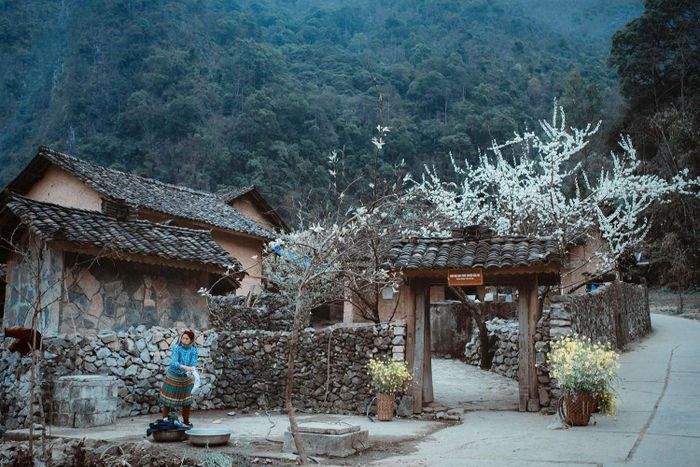 Hướng dẫn đi Hà Giang từ TP.HCM chi tiết nhất 6