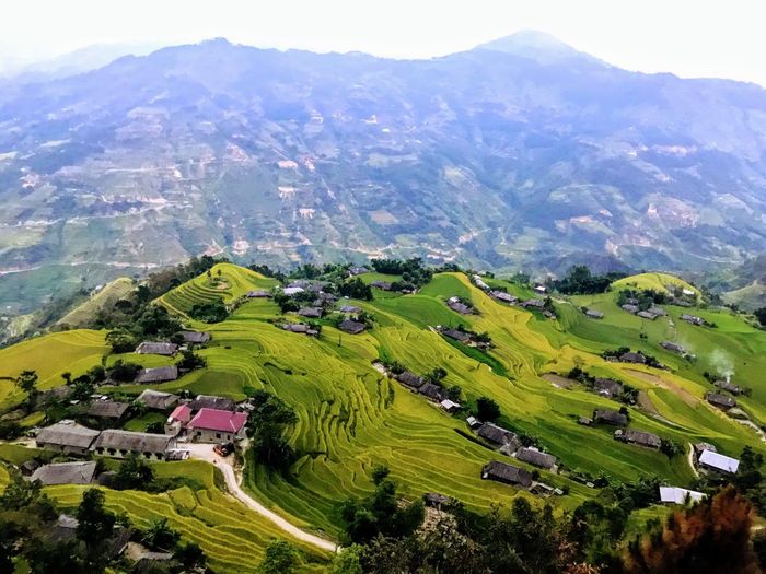 Tiết lộ chi tiết Lịch trình trekking Hoàng Su Phì 3N2Đ dành cho những người mới tham gia 5