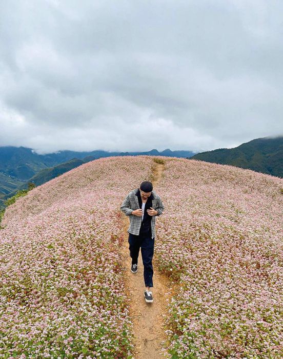 Kế hoạch chi tiết 3 ngày 4 đêm tự do khám phá Hà Giang