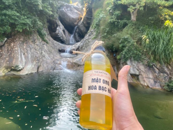 Mật ong bạc hà Hà Giang - Đặc sản quý từ vùng cao nguyên đá 7