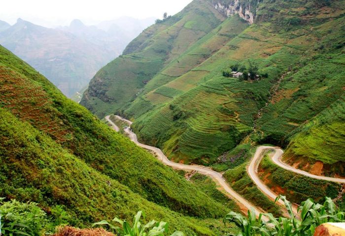 Không thể bỏ qua trong hành trình khám phá mùa hoa tam giác mạch siêu đẳng