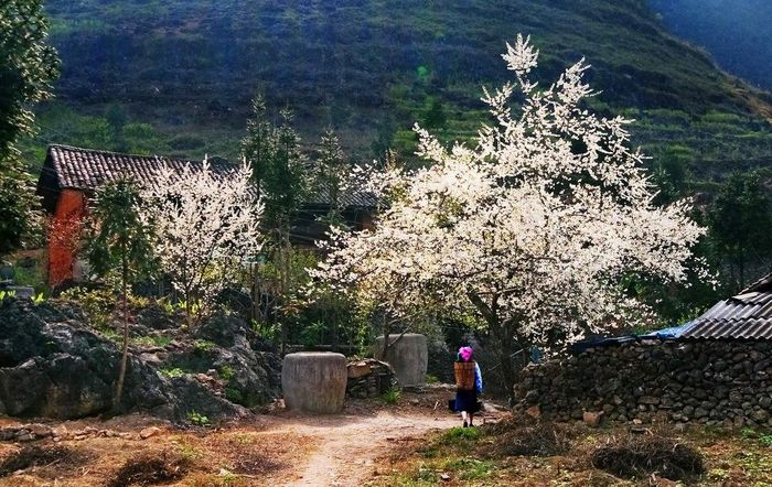 Khám phá Công viên địa chất toàn cầu Cao nguyên đá Đồng Văn khi đến Hà Giang