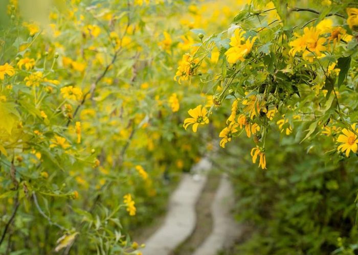 Ba Vì nằm ở đâu