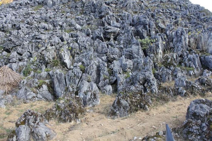 Khám phá vẻ đẹp hoang sơ của Mê Cung Đá Hà Giang