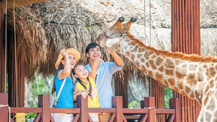 Các chuyến bay đến Phú Quốc
