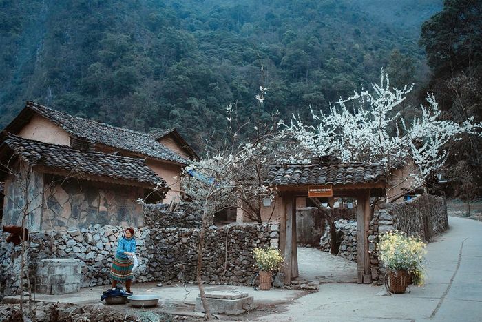 Hãy đến thăm Ngôi nhà của Pao - Nơi yên bình giữa vùng cao nguyên đá