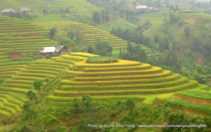 Hồ Thầu – Vẻ đẹp vĩnh cửu của ruộng bậc thang tại Hoàng Su Phì 5