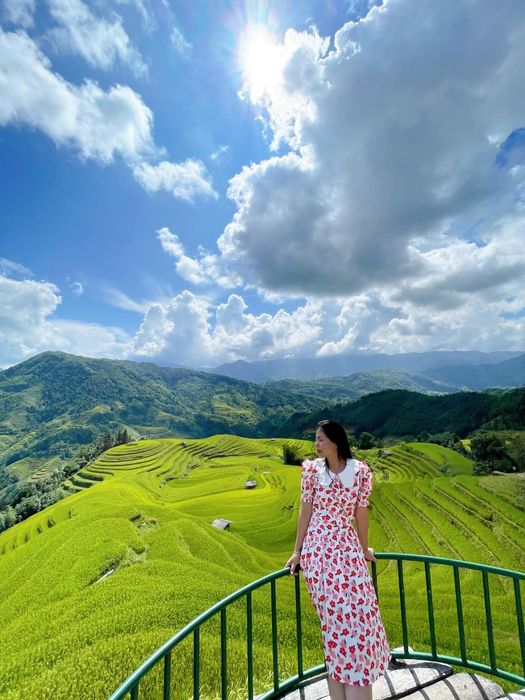 Mùa lúa vàng ở Hoàng Su Phì, thời điểm khiến mọi người mê mẩn không ngừng