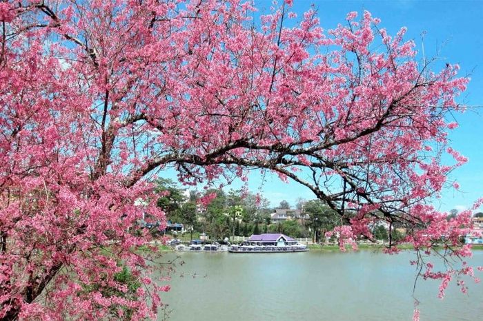 Khám phá Đà Lạt