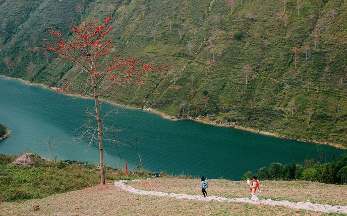 Lịch trình du lịch Hà Giang tự túc 4 ngày 3 đêm giá rẻ nhưng vẫn đầy sức hút
