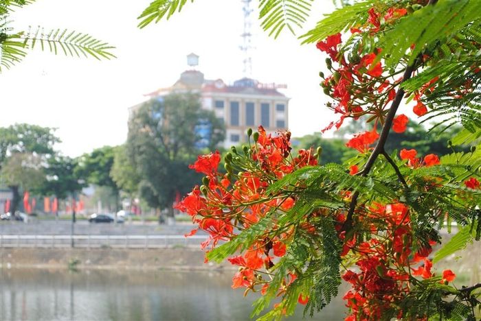 Du lịch Hải Phòng