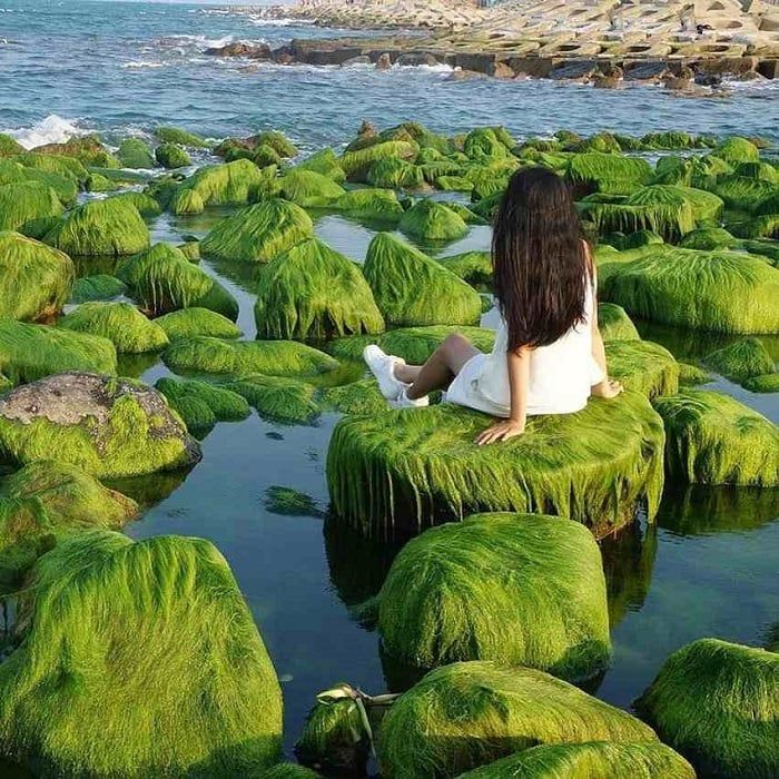 đường Trần Phú Nha Trang