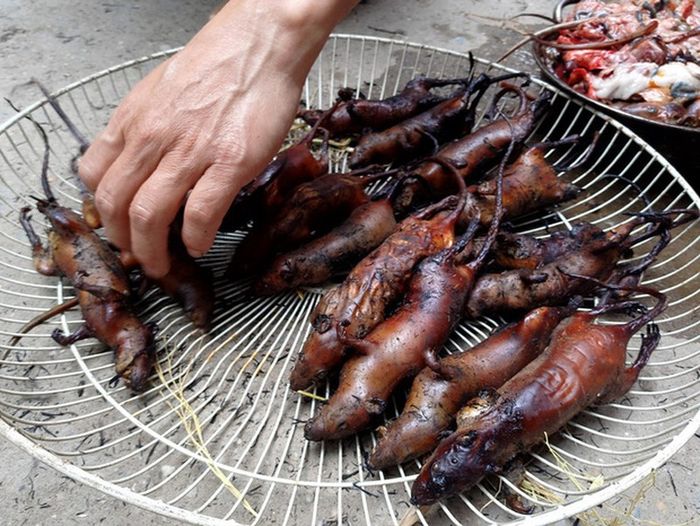 Khi đến Hà Giang, đừng quên thưởng thức món đặc sản thịt chuột La Chí, đã khiến không ít người phải bật khóc.