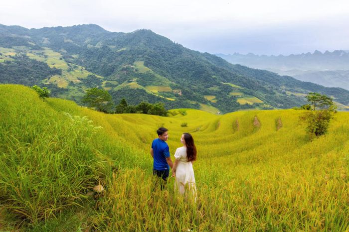 Khung cảnh mùa vàng ở Khuổi My như một tác phẩm nghệ thuật trên cao nguyên đá của Hà Giang
