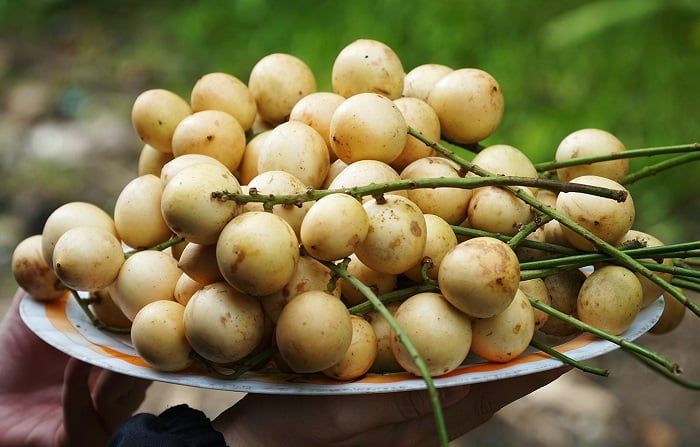 Dâu Hạ Châu